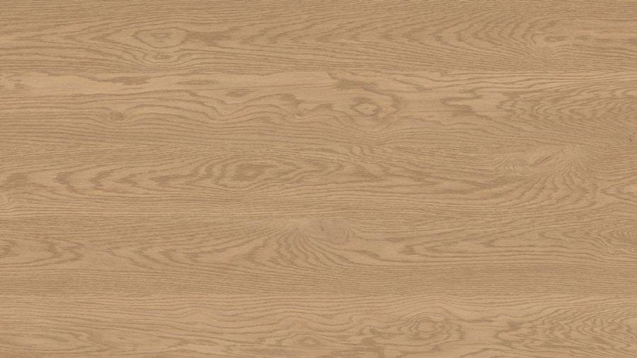 2_D60654 OV DĄB FORNIR.jpg