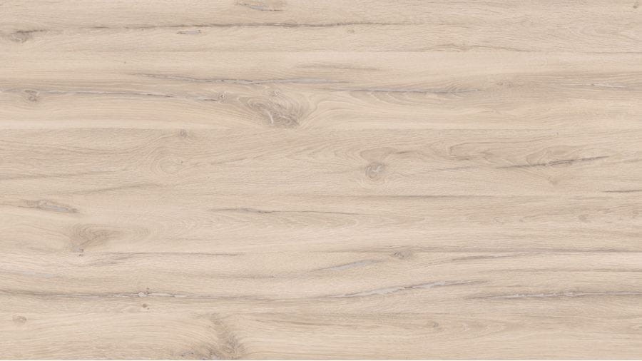 2_D20110 OV DĄB NOSTALGICZNY.jpg