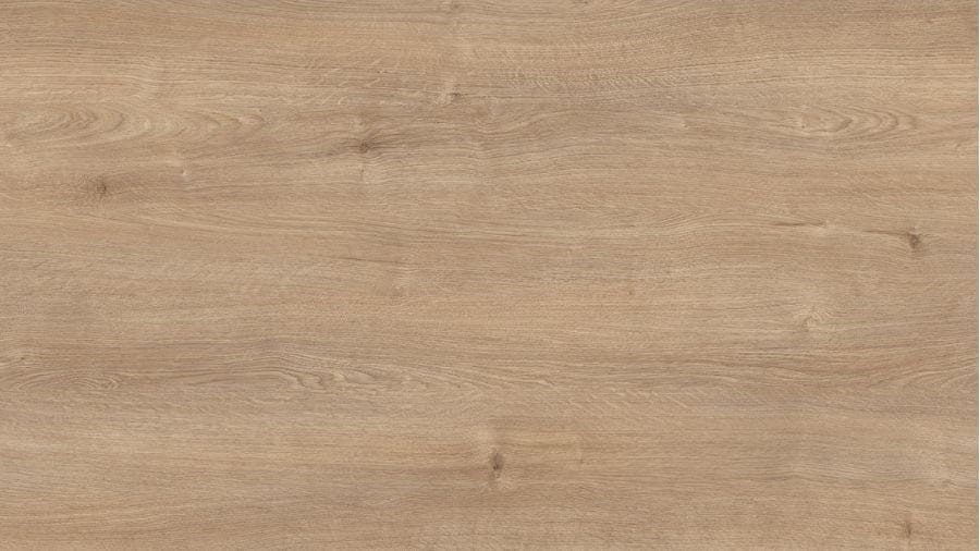 2_D20140 OV DĄB LIRYCZNY.jpg