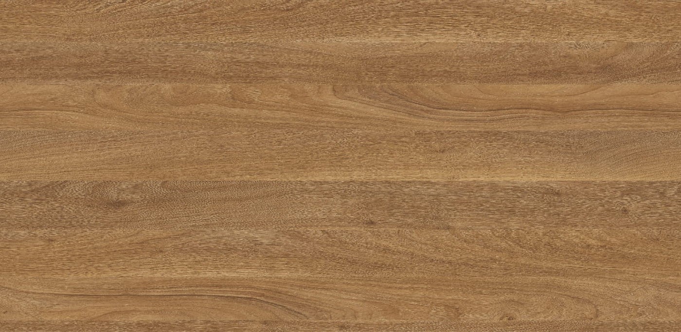 D4410 _OV_Orzech_złoty.jpg