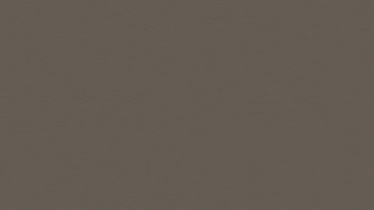 Płyta laminowana Tytan Srebrny VL 18mm 2800x2070 | Swiss Krono