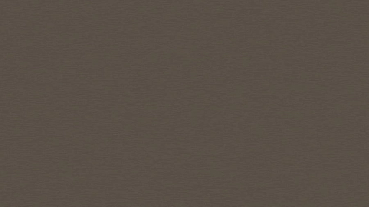 Płyta laminowana Tytan Brązowoszary VL 18mm 2800x2070 | Swiss Krono