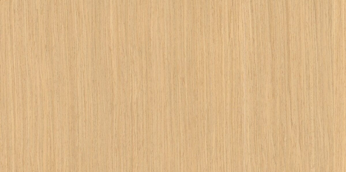 pasiak (półflader).jpg