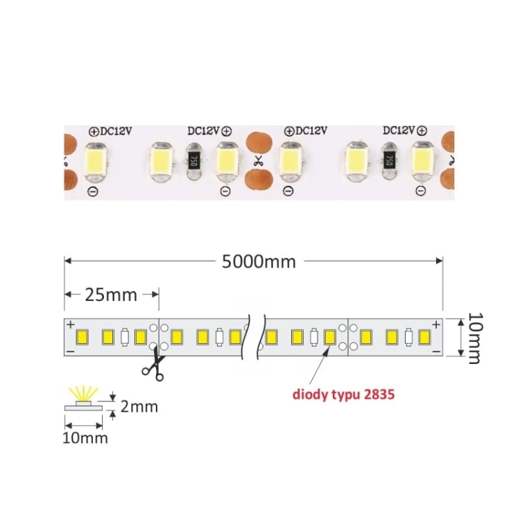 Taśma LED Premium 2835 wymiary