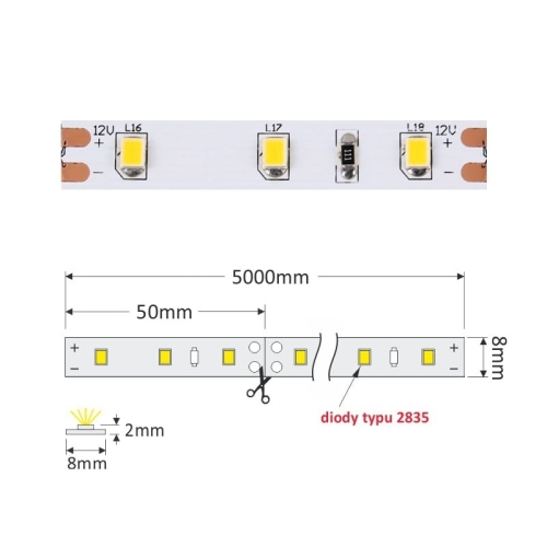 Taśma LED Premium 2835 wymiary