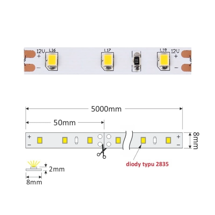 Taśma LED Premium 2835 wymiary