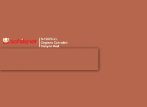 ABS 22/08 ceglana czerwień 10020 VL do U10020VL (S)