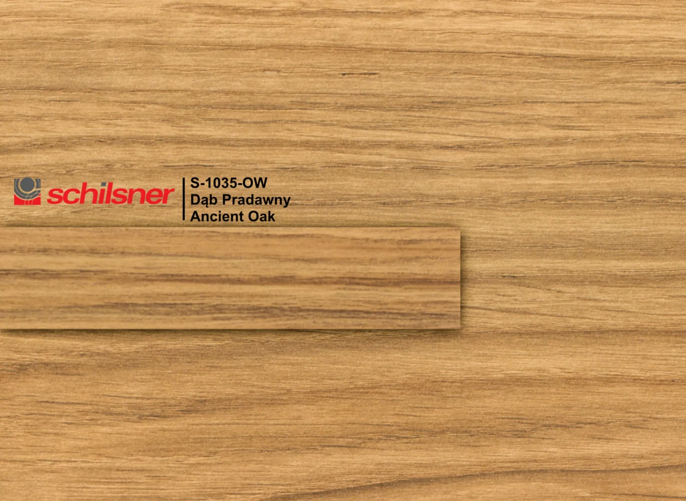 s-1035-ow-dab-pradawny-ow-ancient-oak-ow-d1035-scaled.jpg