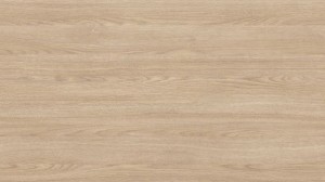 ABS 43/2 dąb zimowy 20734 OV do 20734 (S)