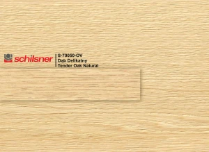 ABS 22/2 dąb delikatny 70050OV  do D70050 OV(S)