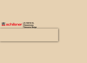 ABS 22/2 sezamowy 10010 VL do U10010VL (S)