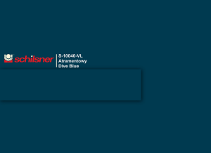 ABS 22/2 atramentowy 10040 VL do U10040VL (S)