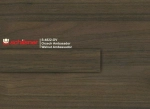 s-4822-ov orzech ambasador