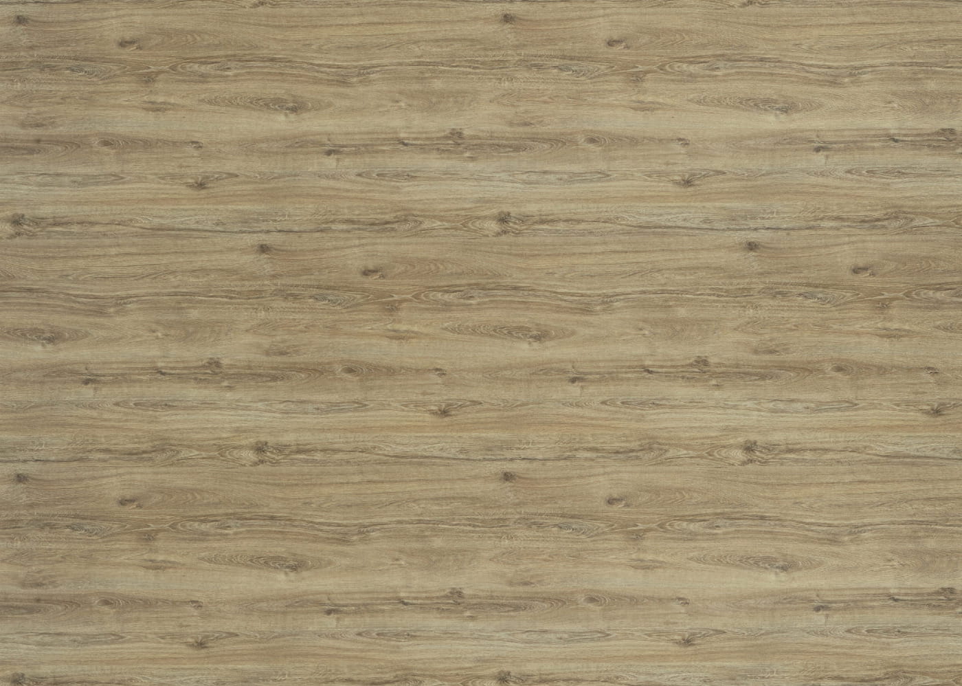 Blat Dąb Giovanni PR 38mm 4100x600 R3 | Swiss Krono
